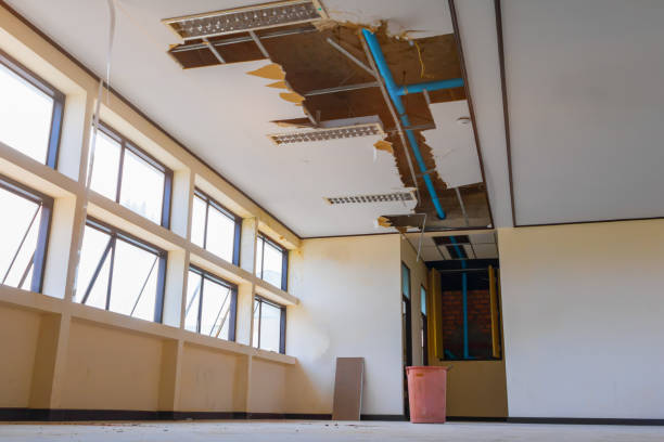 Best Water damage restoration specialists  in St Rose, LA