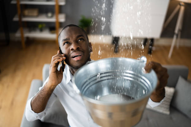 Best Mold removal after water damage  in St Rose, LA