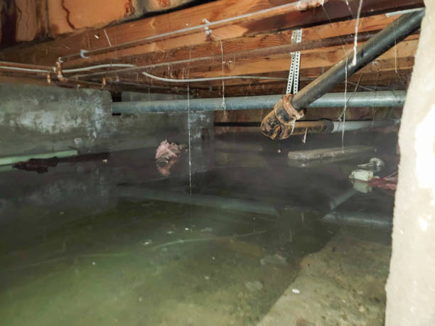 Best Residential water damage restoration  in St Rose, LA