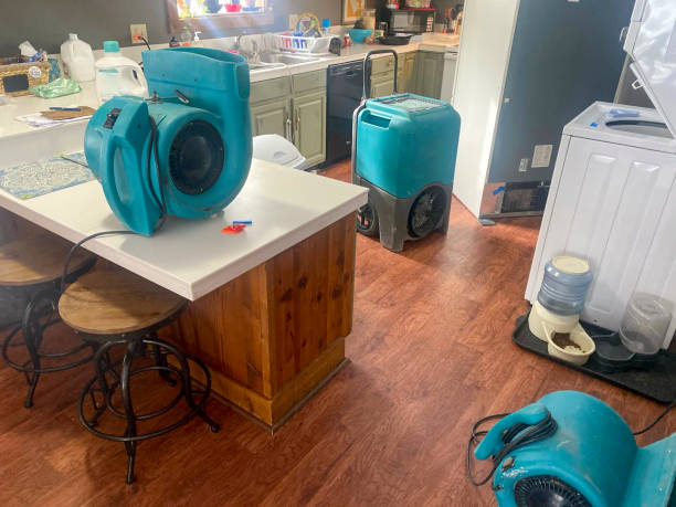 Carpet water damage restoration in LA