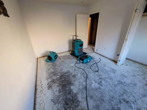 Best Local water damage restoration  in St Rose, LA