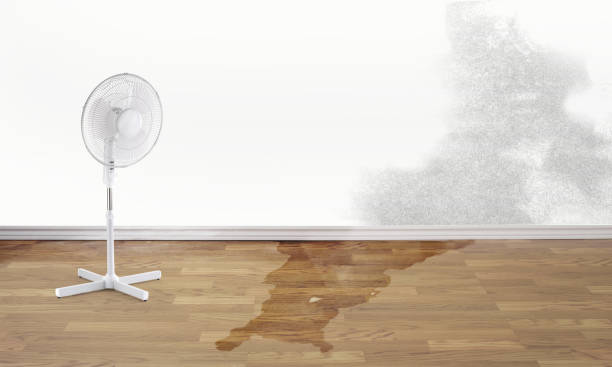 Best Water damage restoration near me  in St Rose, LA