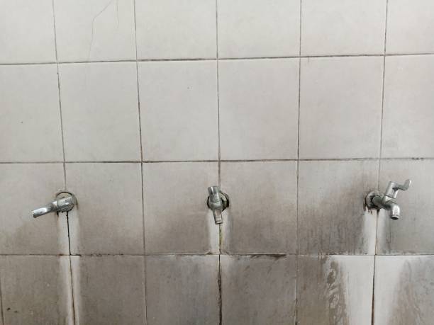 Best Flood restoration services  in St Rose, LA