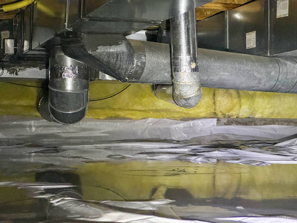 Best Basement water damage restoration  in St Rose, LA
