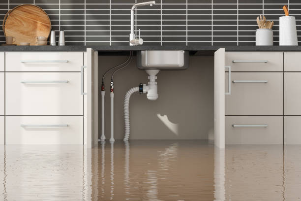 Best Fire Damage Restoration  in St Rose, LA