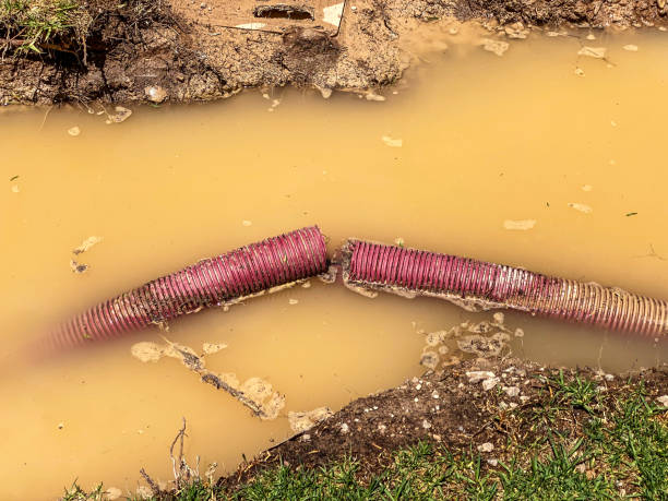 Best Sewage cleanup and water damage restoration  in St Rose, LA